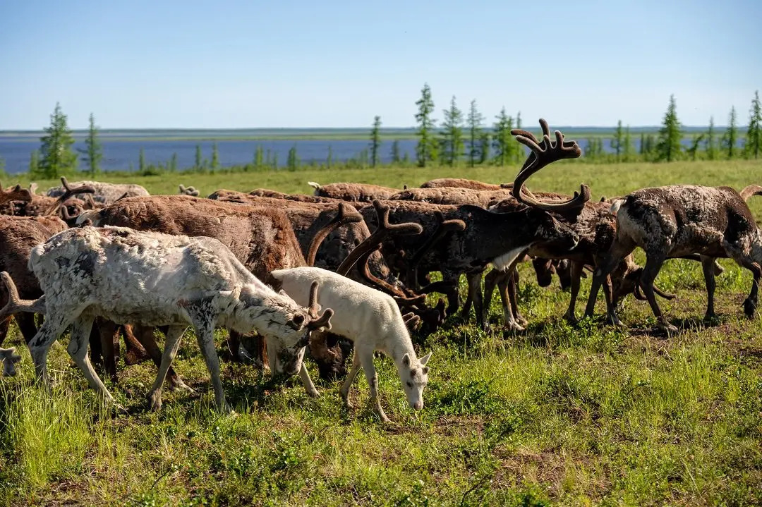 река Енисей