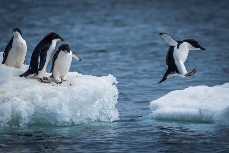 Антарктика Antarctica